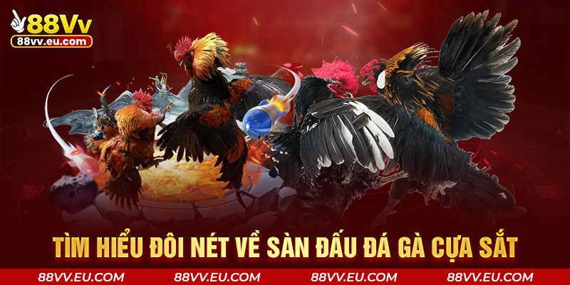 Tìm hiểu đôi nét về sàn đấu đá gà cựa sắt Tìm hiểu đôi nét về sàn đấu đá gà cựa sắt